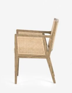 Jeni Dining Arm Chair -Lulu and Georgia Store 101019 004 sid 1 4aaae35b 3369 4321 9a43 8c83d7b1cbc5