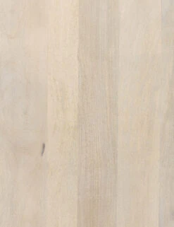 Ian Desk -Lulu and Georgia Store 101359 003 DET 2 1