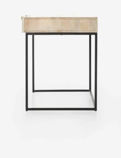 Ian Desk -Lulu and Georgia Store 101359 003 SID 1 1