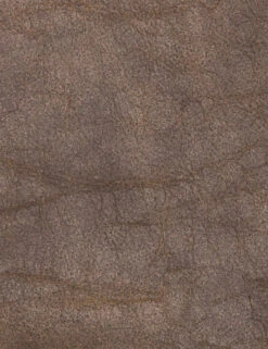 Trysta Bar And Counter Stool -Lulu and Georgia Store 105861 021 DET 2