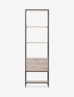 Rosamonde Bookcase -Lulu and Georgia Store 107316 006 BCK 1