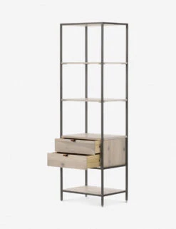 Rosamonde Bookcase -Lulu and Georgia Store 107316 006 OPN 1