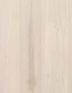 Rosamonde Desk -Lulu and Georgia Store 107317 004 DET 2