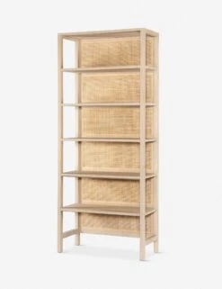 Philene Bookcase -Lulu and Georgia Store 108757 001 prm 1 896c3b9d 21a1 417e 9064 0a5efc2ee50d