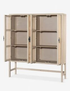 Hannah Cabinet -Lulu and Georgia Store 108910 001 opn 1 1cdab0d6 eeaa 4ffa 8411 45f493661847