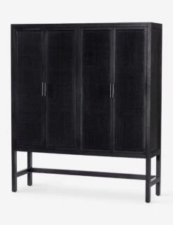 Hannah Cabinet -Lulu and Georgia Store 108910 005 PRM 1