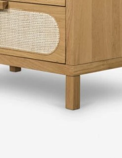 Verna Dresser -Lulu and Georgia Store 109721 001 det 3