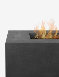 Magnus Fire Table -Lulu and Georgia Store 1590LP CBN Detail