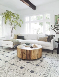 Allisen Sectional Sofa -Lulu and Georgia Store 20190912 25th st home0177 1 low res low res 1