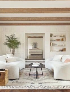 Gweneth Oval Coffee Table -Lulu and Georgia Store 20200109 zehra 2.0 catalog0549 josephine site crop