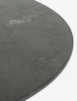 Shanay Round Dining Table -Lulu and Georgia Store 223383 001 DET 1 1