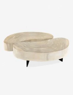 Finley Coffee Table Set 8 Finley Coffee Table Set -Lulu and Georgia Store 223615 001 bck 1