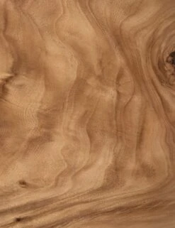 Emmanuel Desk -Lulu and Georgia Store 224198 001 det 2 4f8d83eb 44f3 4c49 85ef 201b495cb754