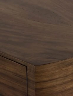 Emmanuel Desk -Lulu and Georgia Store 224198 002 DET 3