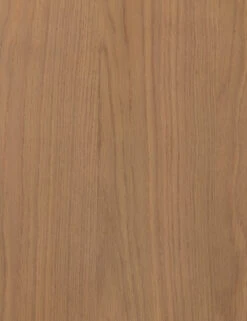 Juniper Desk -Lulu and Georgia Store 224322 002 DET 2