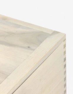 Rosamonde Storage Bench 27 Rosamonde Storage Bench -Lulu and Georgia Store 224491 003 DET 7