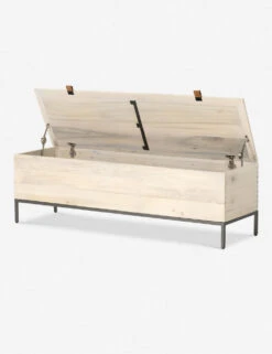 Rosamonde Storage Bench 23 Rosamonde Storage Bench -Lulu and Georgia Store 224491 003 OPN 1