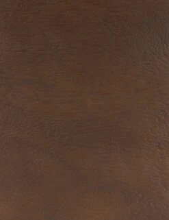 Gilbert Dining Chair 19 Gilbert Dining Chair -Lulu and Georgia Store 224509 001 DET 2