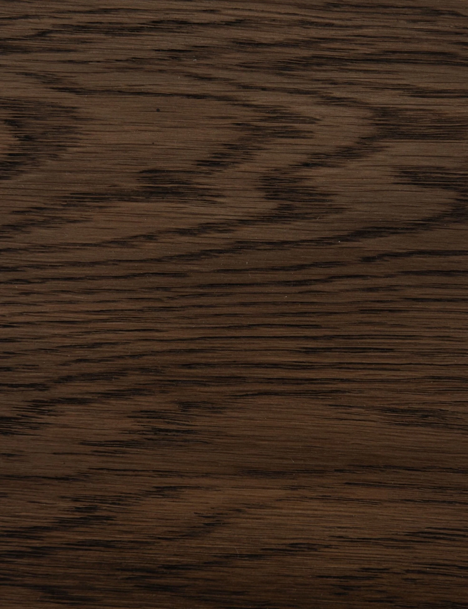 Rian Dining Chair 7 Rian Dining Chair - Image 7