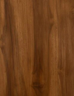 Annika Indoor / Outdoor Bar Cart -Lulu and Georgia Store 224723 001 det 2