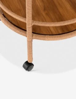 Annika Indoor / Outdoor Bar Cart -Lulu and Georgia Store 224723 001 det 3