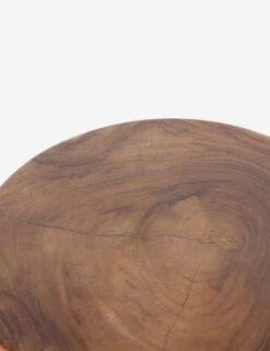 Tre Indoor / Outdoor Side Table 19 Tre Indoor / Outdoor Side Table -Lulu and Georgia Store 224744 001 DET 4