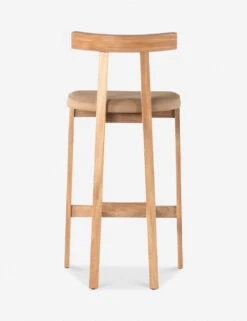Ayvn Bar And Counter Stool -Lulu and Georgia Store 225104 002 BCK 1