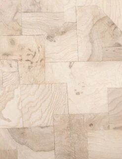 Westmore Desk 15 Westmore Desk -Lulu and Georgia Store 225911 001 DET 2