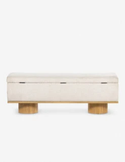 Wynter Storage Bench 13 Wynter Storage Bench -Lulu and Georgia Store 226181 001 BCK 1
