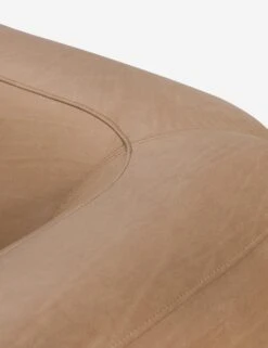 Joey Sofa -Lulu and Georgia Store 226436 003 DET 3