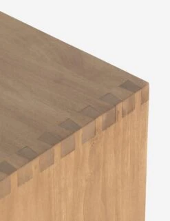 Maeve Tall Dresser -Lulu and Georgia Store 226508 001 DET 7