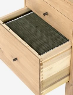 Maeve Desk -Lulu and Georgia Store 226511 001 DET 3 87edc5f0 4b2a 49a9 bfc3 7ed980143d7b