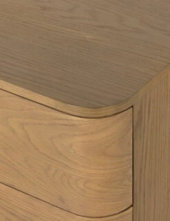 Cyrus Dresser -Lulu and Georgia Store 226604 002 DET 3