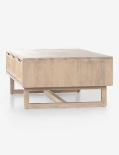 Margot Coffee Table 20 Margot Coffee Table -Lulu and Georgia Store 226677 001 det 3