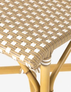 Monet Indoor / Outdoor Dining Chair 10 Monet Indoor / Outdoor Dining Chair -Lulu and Georgia Store 226843 001 DET 3