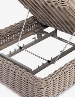 Eugenie Indoor / Outdoor Chaise -Lulu and Georgia Store 227494 001 DET 9