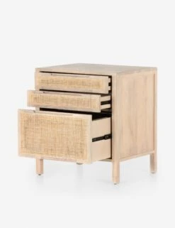 Margot Filing Cabinet -Lulu and Georgia Store 227705 002 opn 2