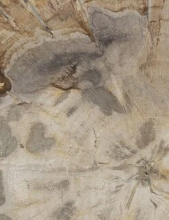 Casella Round Side Table -Lulu and Georgia Store 227722 002 DET 2