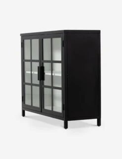 Marjorie Small Curio Cabinet -Lulu and Georgia Store 227814 001 DET 6 1