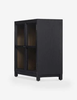 Carly Small Curio Cabinet -Lulu and Georgia Store 227825 001 DET 1 1