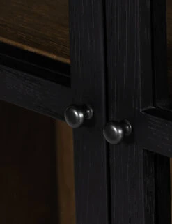 Carly Small Curio Cabinet -Lulu and Georgia Store 227825 001 DET 6