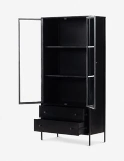 Mathus Curio Cabinet 9 Mathus Curio Cabinet -Lulu and Georgia Store 229265 001 OPN 1
