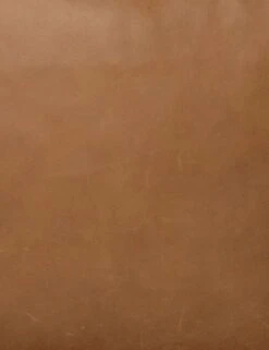 Paolo Accent Chair 13 Paolo Accent Chair -Lulu and Georgia Store 229370 005 DET 2