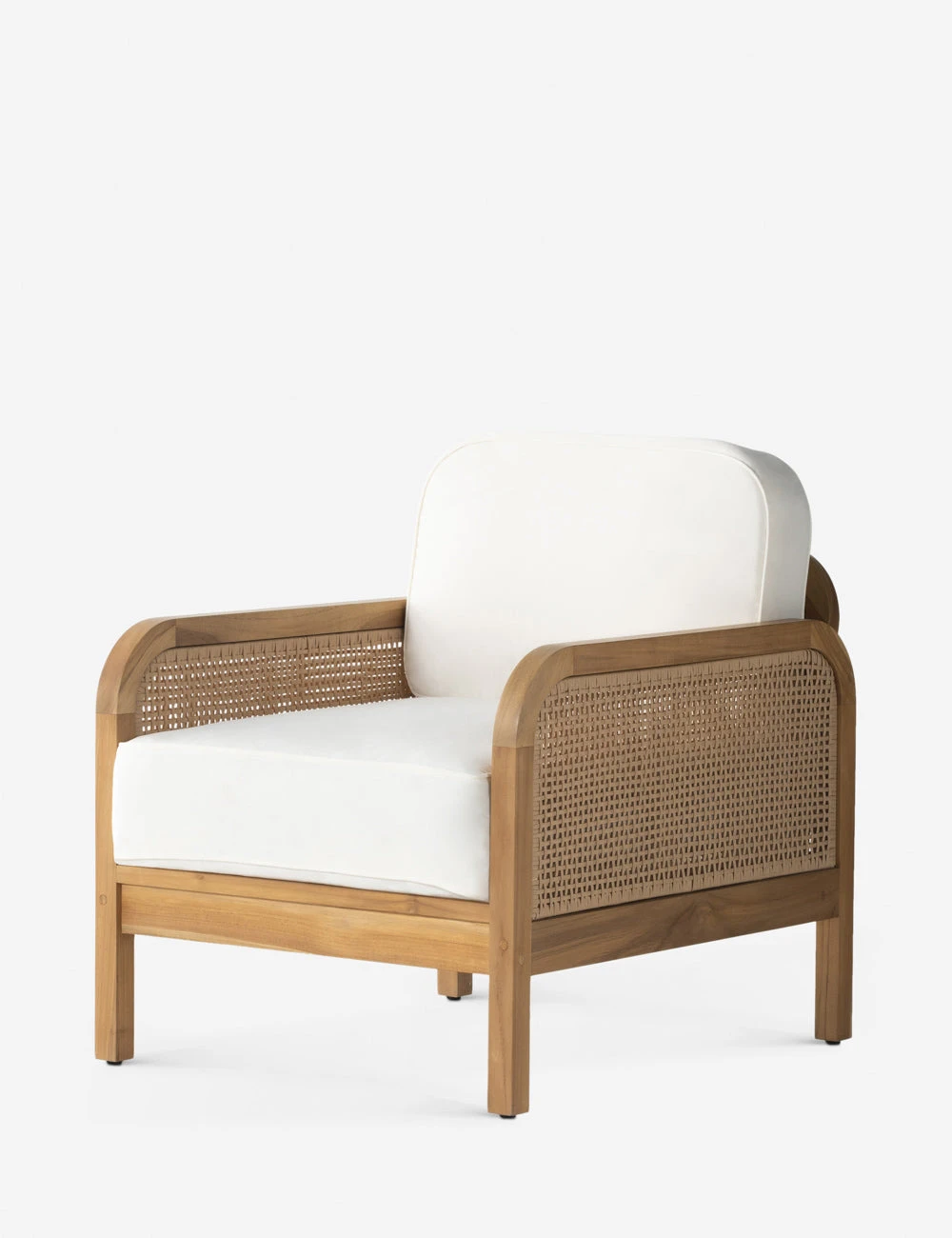 Anson Indoor / Outdoor Accent Chair 2 Anson Indoor / Outdoor Accent Chair - Image 2