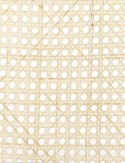 Barron Dining Chair -Lulu and Georgia Store 229571 001 DET 2