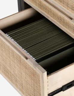 Margot Modular Desk With Filing Cabinet -Lulu and Georgia Store 230207 002 det 3