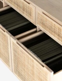 Margot Modular Desk With Filing Sideboard -Lulu and Georgia Store 230208 001 det 1