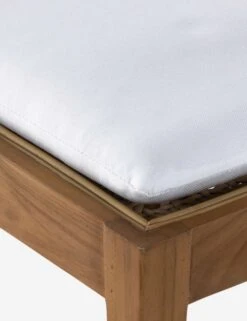 Jaz Indoor / Outdoor Dining Chair -Lulu and Georgia Store 230309 001 DET 5 SITECROP