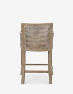 Quincey Counter Stool -Lulu and Georgia Store 23522 a2 752e9c0e 6860 42ce 96f0 4fc2108a80ae