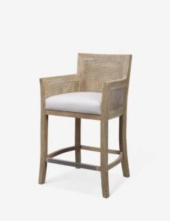 Quincey Counter Stool -Lulu and Georgia Store 23522 a d4ba4e70 b7ba 4938 ac6b 17d369459a42
